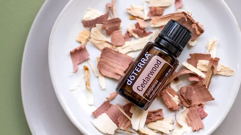 doTERRA Weekly Drops of Wisdom: Cedarwood